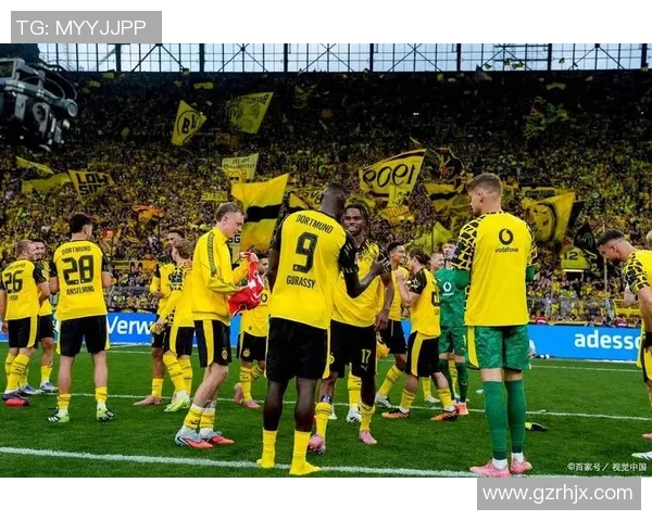 多特蒙德与汉堡激战集锦回顾精彩瞬间与进球分析