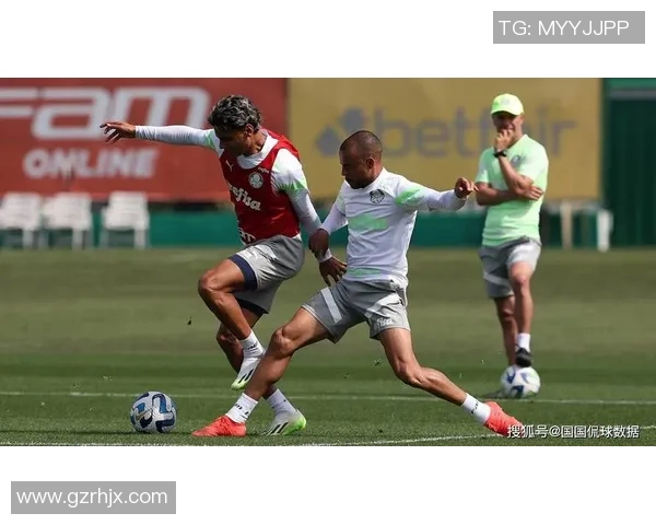 帕尔梅与图库曼对决前瞻分析及比赛结果预测